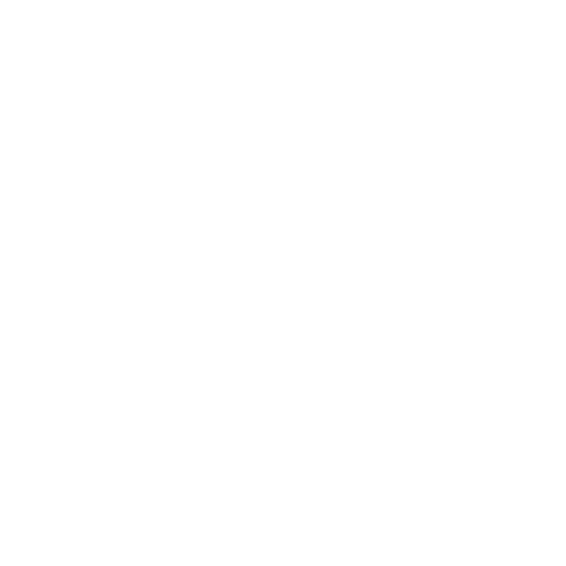 Defense icon